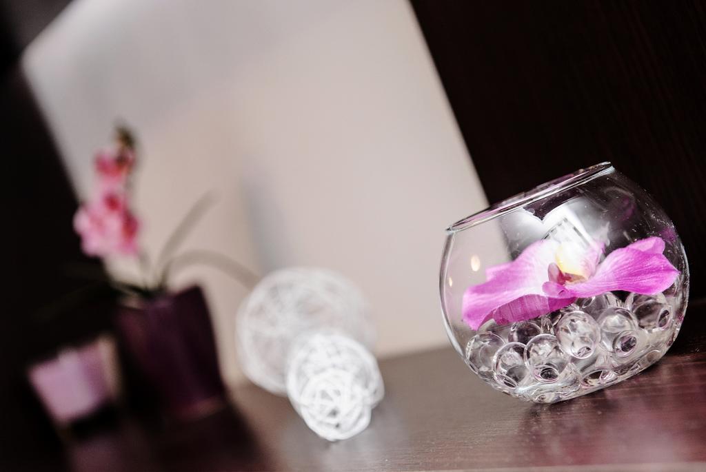 Apartment Stanic - "Home Away From Home" Split Kültér fotó